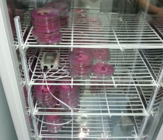 德图 testo Saveris在瑞阳制药质检部的实际应用案例